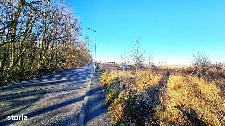 Teren intravilan, 2 fronturi, Drumul Padurea Pustnicu 65 - Greenfield - 2