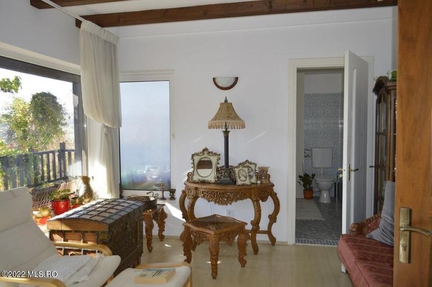 Topoloveni - Conacul Ion Mihalache, Domeniu pe 5 Hectare! - 28