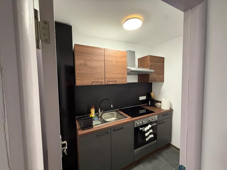 De vanzare sau inchiriere pe termen lung ! - 6