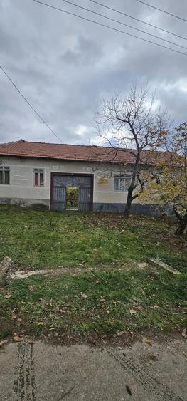 Vand casa in sat Nadalbesti judet Arad - 4