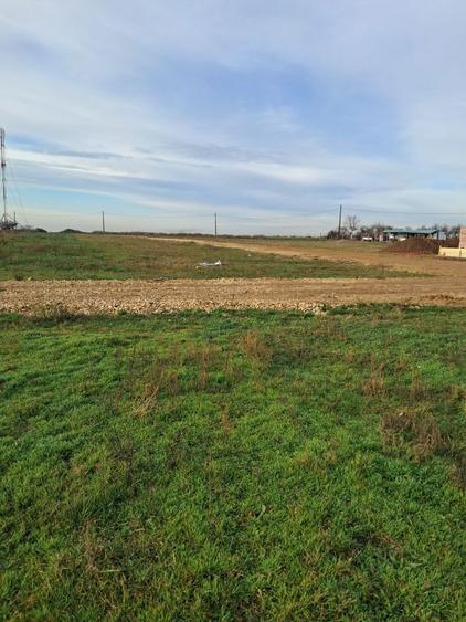 teren Nojorid cartier nou - 3