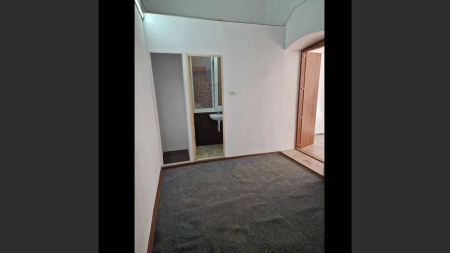 Spatiu comercial cu potential ridicat - 4