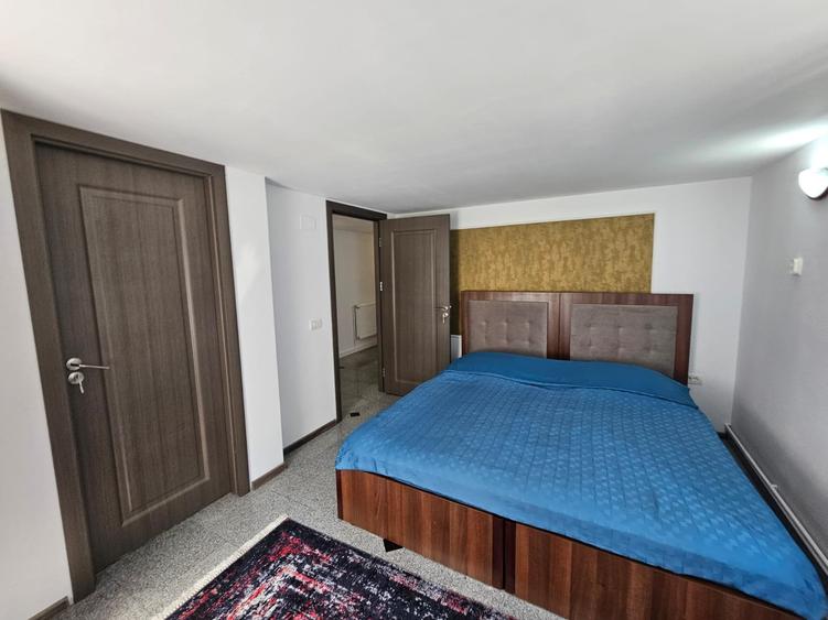 Vila Exclusivista Vetel  pe valea Caoiului-OFERTA SPECIALA DE SARBATORI! - 11