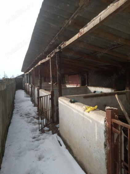 Casa la tara, jud Tulcea - 3