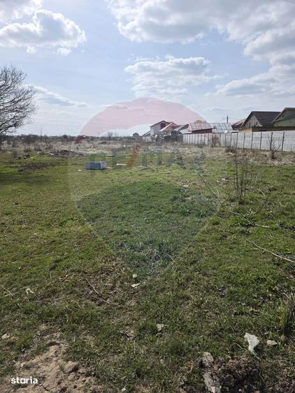 Teren Balotesti Dumbraveni 16.700 mp /8350 mp /loturi 500 mp - 10