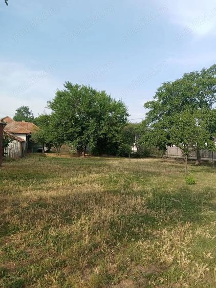 Vand teren intravilan(casa)Cioranca, Localitatea Movila Banului, Jud. Buzau - 7