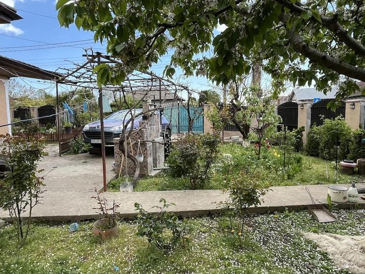 Se vinde casa , Valu Traian - 1