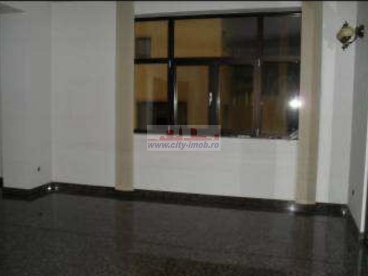 Inchiriere Vila Iancu Nicolae Gradinita, Clinica Medicala - 7