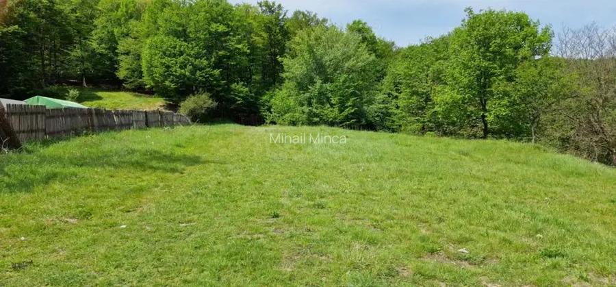 Teren extravilan 2200 mp - Budeasa Mica, Arge?, COMISION 0% Teren extravilan 2200 mp - Budeasa Mica, Arge?, COMISION 0%