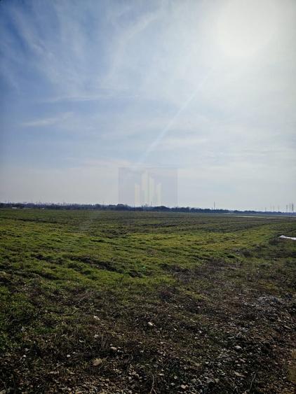 Teren de Vanzare  Caciulati Ilfov - 1