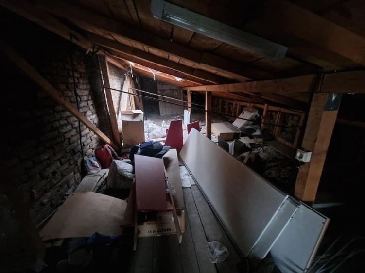 Vila Cotroceni singur in curte - 6