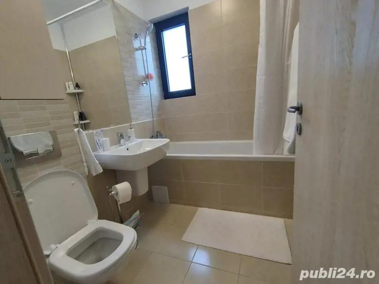 Greefield Baneasa Apartament 2 Camere de inchiriat - 5