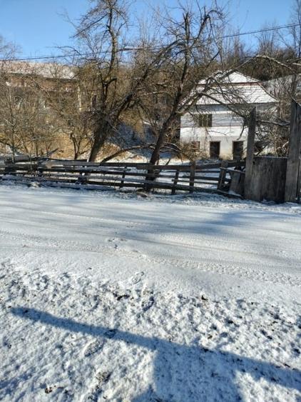 Casă de vânzare com. Ocoliș, nr. 90, jud Alba, 50000 EURO - 1