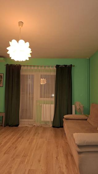 Colentina,Rau,Mc. Donald's,Bacila - 4