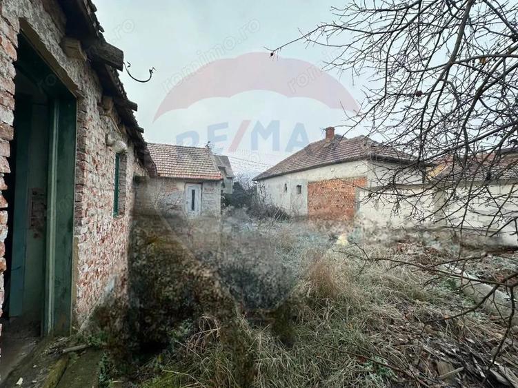Teren intravilan 700mp cu utilitati trase Zona Tabacovici - 14