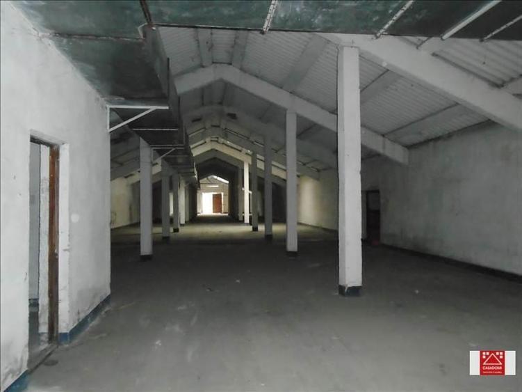 Hala de depozitare, Aradul Nou - 6