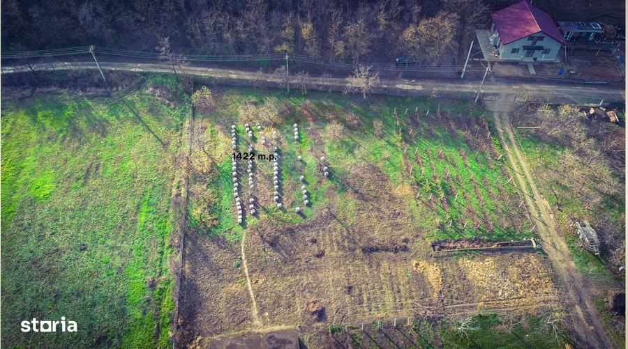 Teren Intrarea Cotul Morii, comuna Victoria Iasi - 2