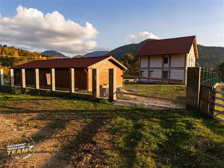FILM! Vila intr-un peisaj mirific, cu 2.900mp teren, Covasna - 15