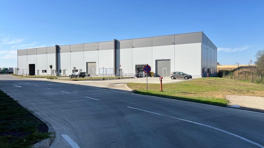 Hale de inchiriat Timisoara, Giarmata