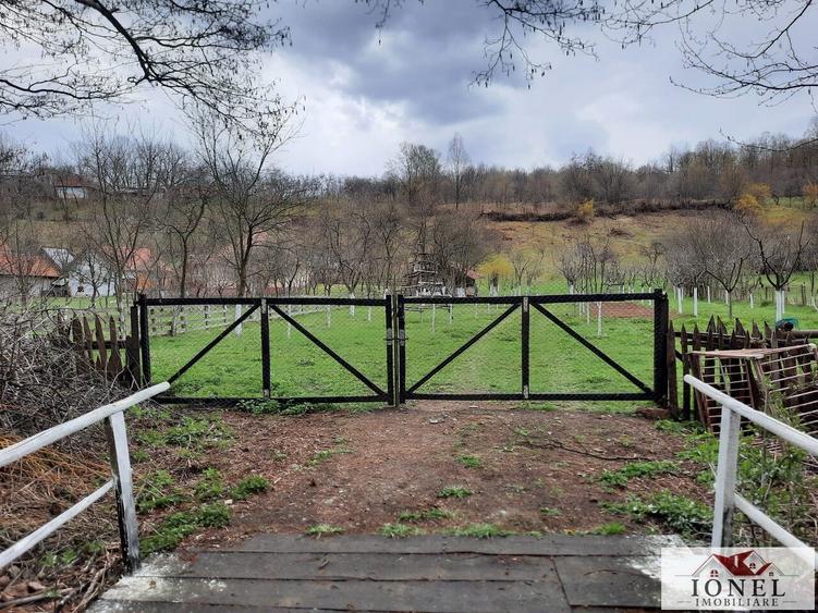 Vanzare teren 4544 mp in Almasu Mare - 10
