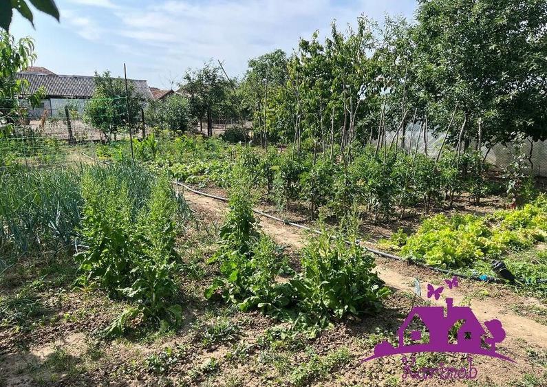 Casa in localitatea Nojorid - 2