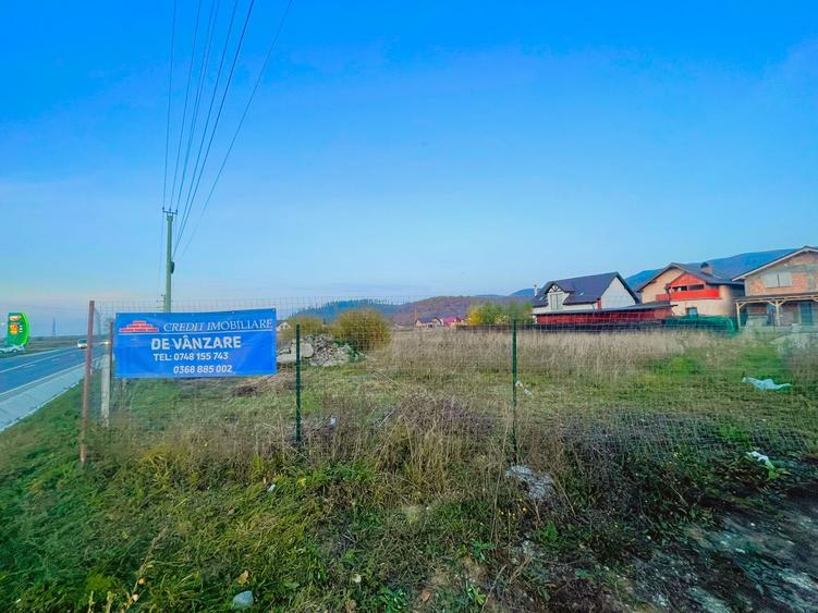 Teren DN73 Rasnov 1441mp! - 3