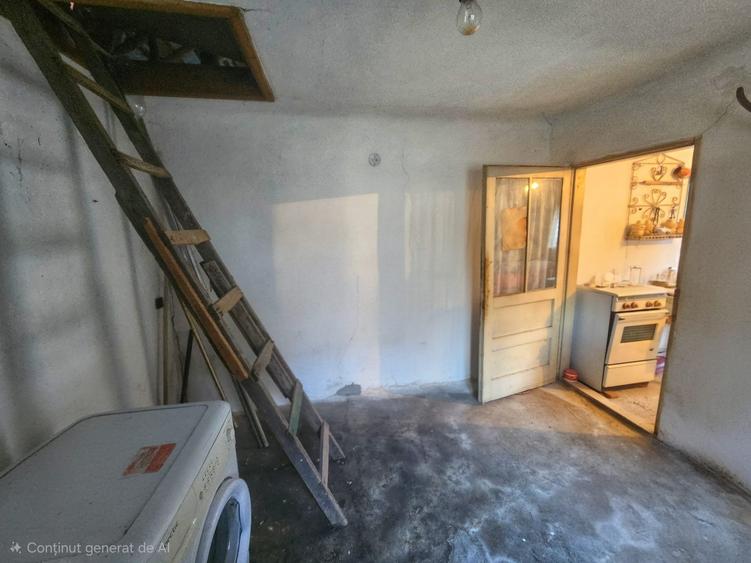 Exclusivitate! Casă cu teren generos în Sat Olteni, Com.Teișani - 20