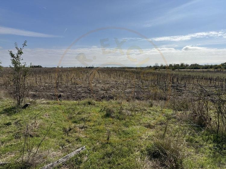 Teren 5216 mp la drum principal com. Ratesti - 5