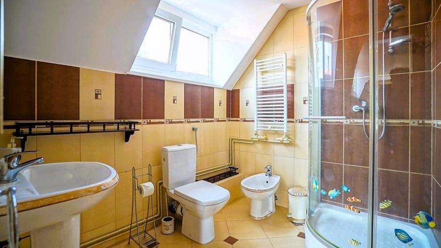 Proprietate unică pe malul lacului Moacșa – liniște, rafinament, eleganta - 32