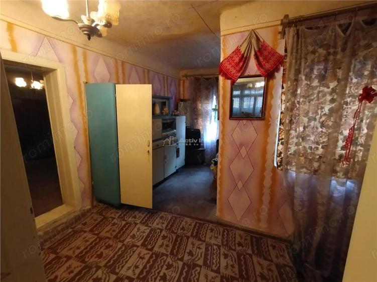 Bogodint, Casa cu 4 Hectare Teren, Pret Negociabil - 8