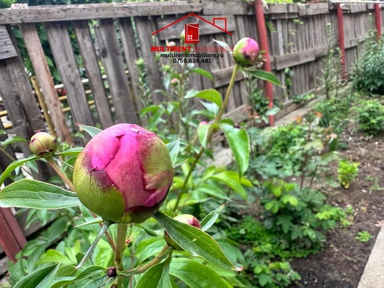 strada Gavrilov Corneliu - Casa de vanzare cu centrala pe gaz! - 23