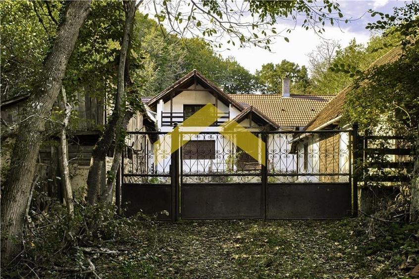 Casa cu padure de vanzare in Savarsini - 20
