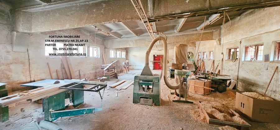 Hala si teren , Piatra Neamt - 8