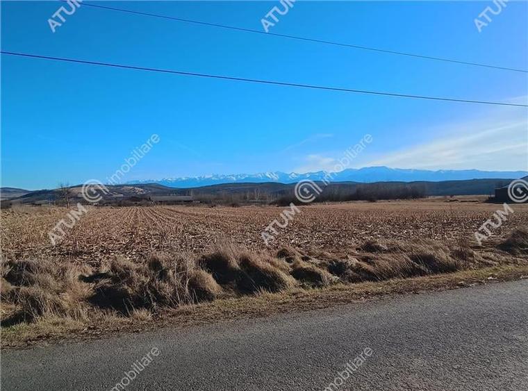 Teren pretabil investitie in Daia judet Sibiu - 16