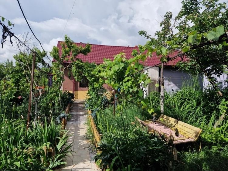 Casă de vânzare Aroneanu priveliște lac - 1