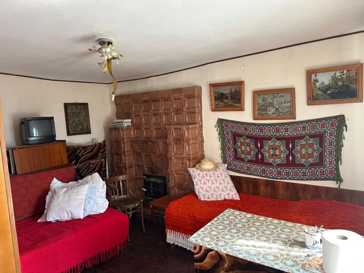 Casa batrineasca cu approx 2800 mp teren, vie, pomi fructiferi, zmeura, coacăze - 5