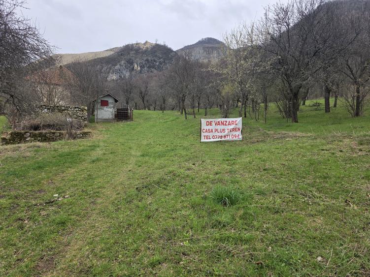 De Vanzare Casa plus Teren - 3