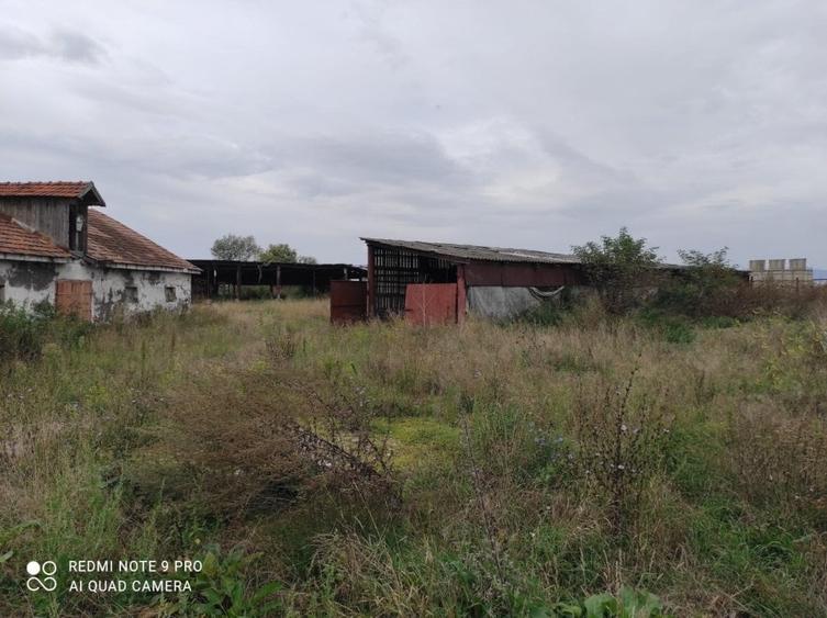 Teren pe fosta ferma a fabricii de zahar Bod - 2