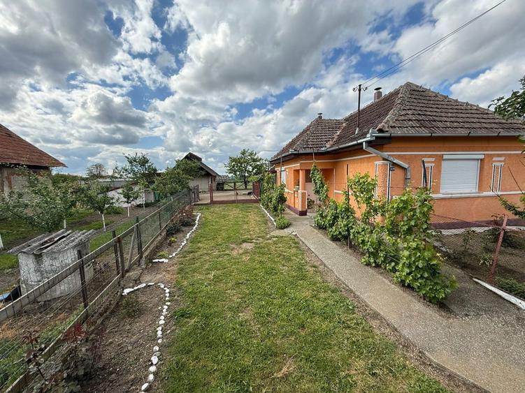 Ofer spre vanzare Casa + Teren 23 Ari in Comuna Craidorolt - 3