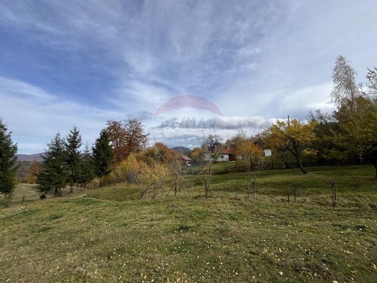 Teren de Vis in Bran - 1000mp Plat, Liniste Absoluta si Aer Curat - 8