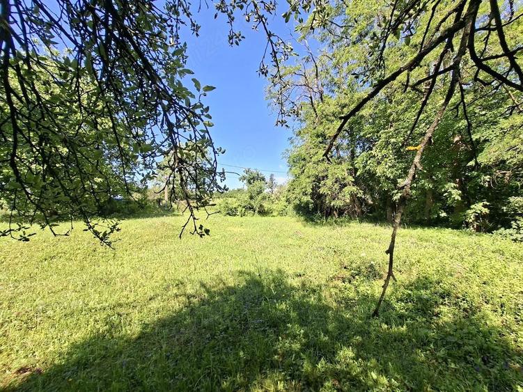 Oaza de lini?te ?i natura pura | Teren de vanzare in Runcu - Dobri?a, Gorj - 1