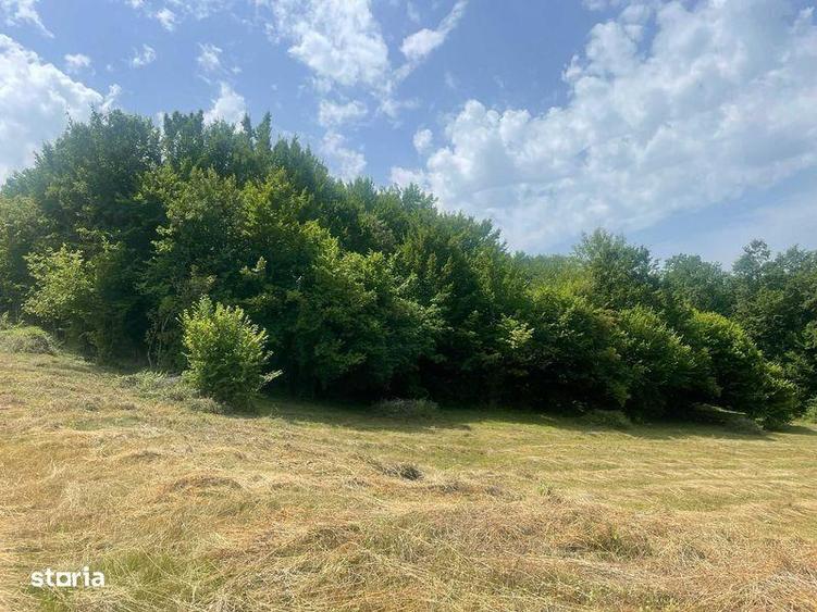 Teren extravilan de vanzare -faneata - 6