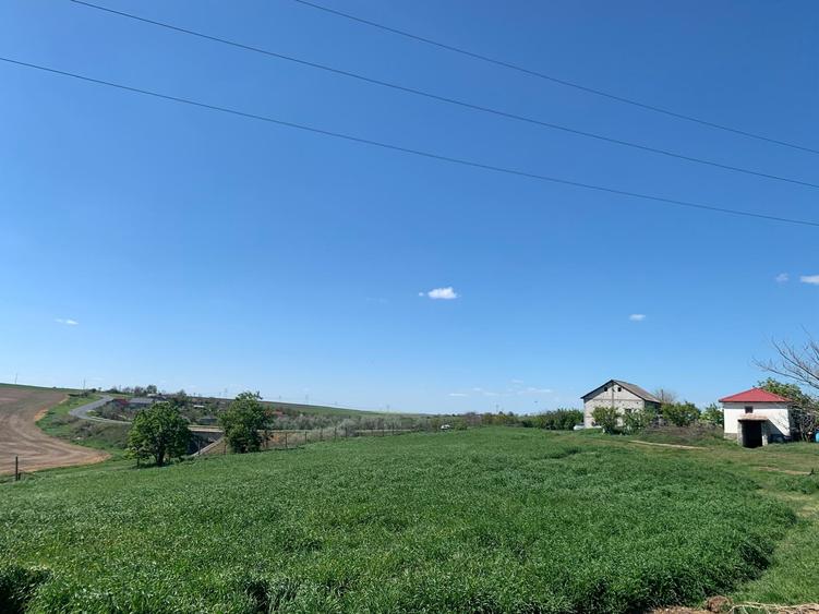 Fermă de vânzare - DN3 - 84m deschidere - 19