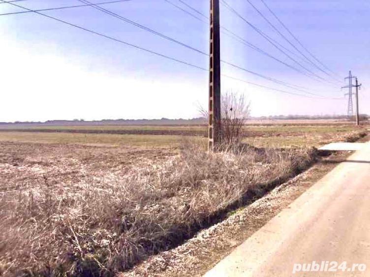 Schimb Vand Teren in Mihailesti Intravilan deschidere la drum 25 ml langa Bucuresti 9km - 4