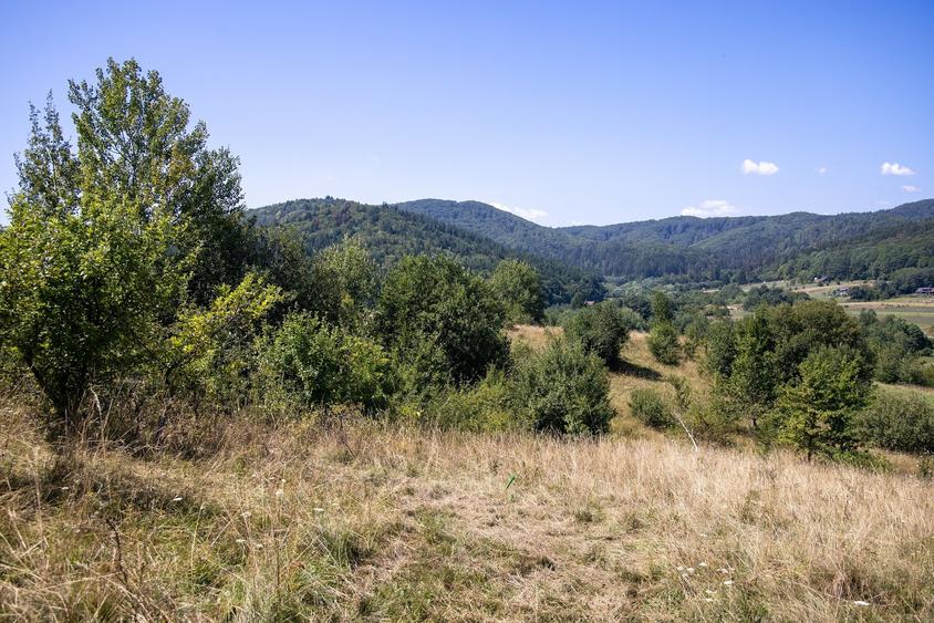 Comision0%Teren 4200 mp Vulcan Brașov – ideal casă de vacanță / turism - 15