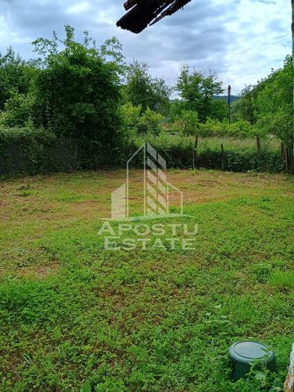 Casa batraneasca de vanzare, 4 camere, in Hunedoara, sat Micanesti - 9