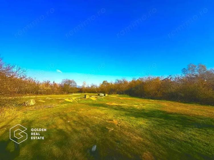 Teren intravilan 71.000mp, Barsa, Renumita Fabrica de caramida si casa 4 camere - 3