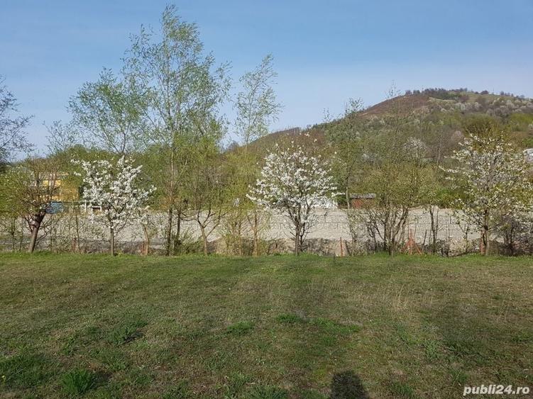 Teren de 9000 mp, în Pângărați