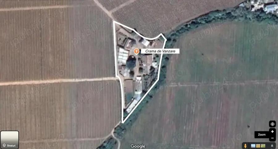 Crama de vanzare Odobesti -Vartescoiu - 2