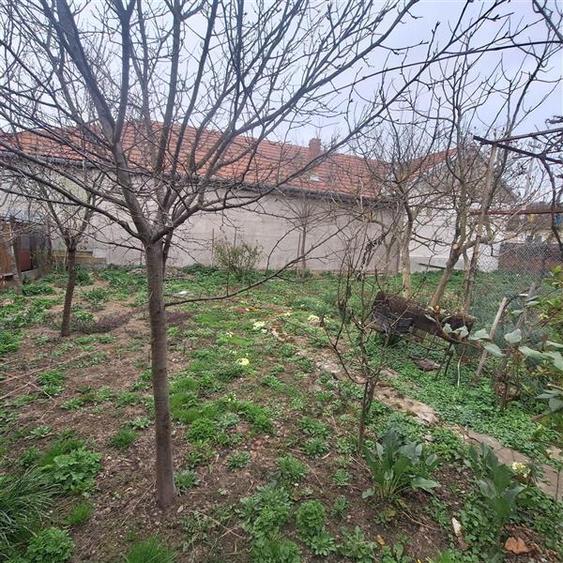 Bocsa Vasiova, Casa cocheta pentru familie, cu Gradina. - 29